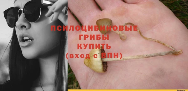амф Абдулино