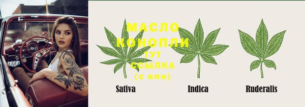 прущие грибы Рославль