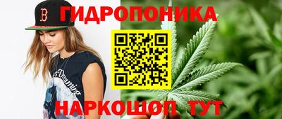 гашик Заволжье