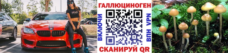 Псилоцибиновые грибы Cubensis  Скопин 