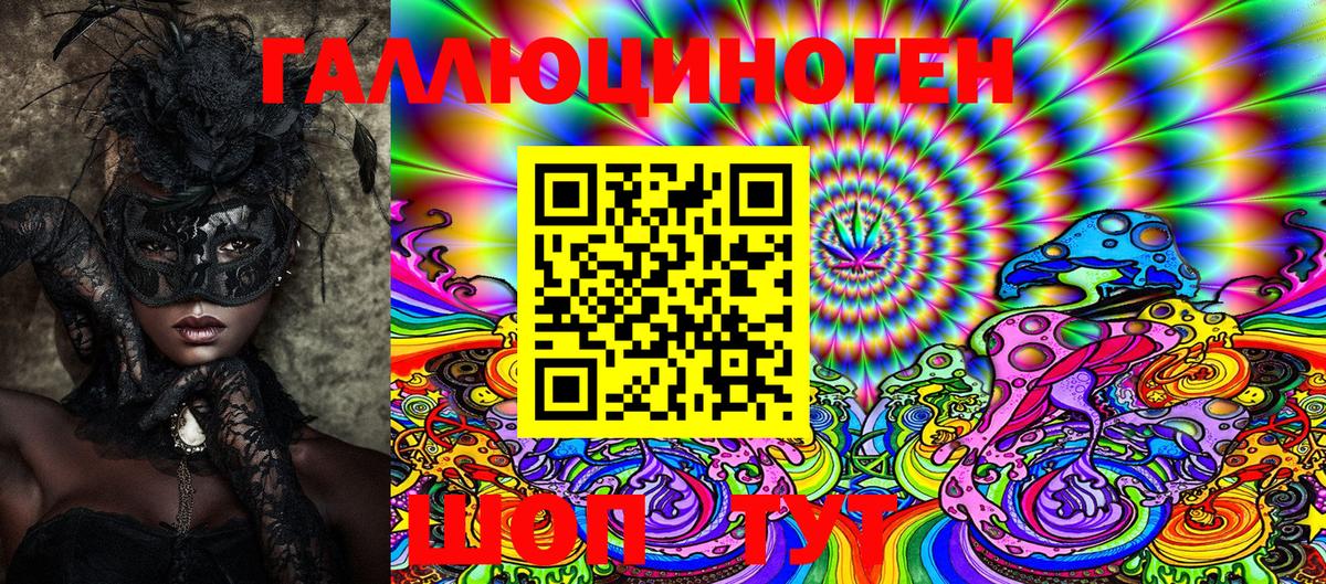 Галлюциногенные грибы Psilocybine cubensis Скопин