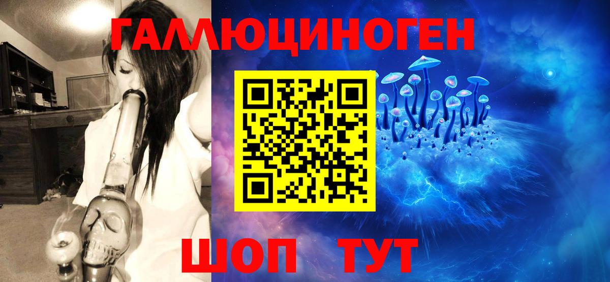 Скопин  Галлюциногенные грибы Psilocybe  Псилоцибиновые грибы прущие грибы  Вход с VPN 